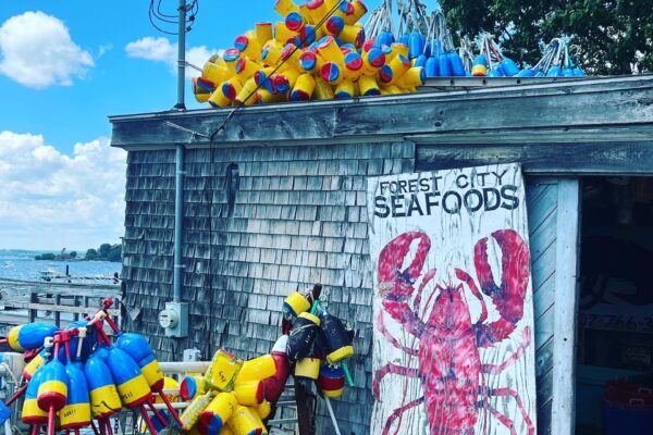 6CAE5AE8-F7DE-4DDA-ACAB-8EC6567EE06F 6CAE5AE8-F7DE-4DDA-ACAB-8EC6567EE06F